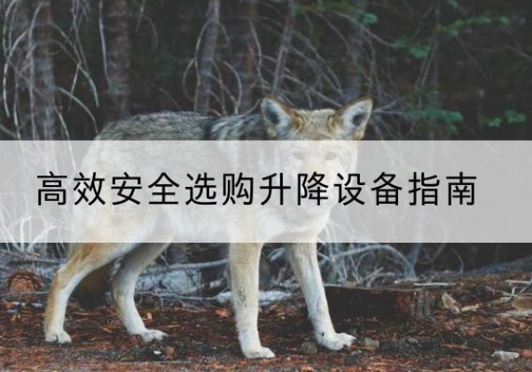 崇信升降货梯厂家推荐-*安全选购升降设备指南