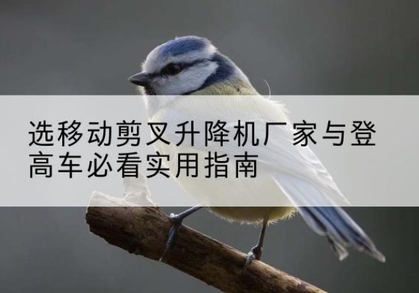 崇信电动升降机厂家-选移动剪叉升降机厂家与登高车必看实用指南